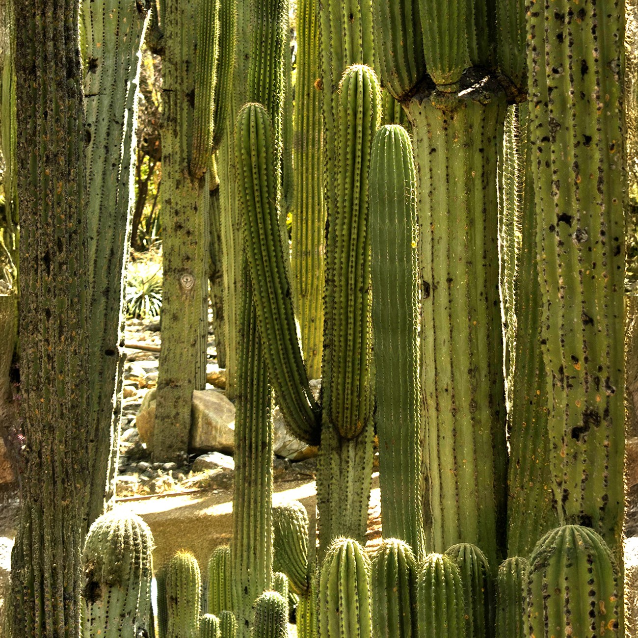 Product Image For 6011-09.