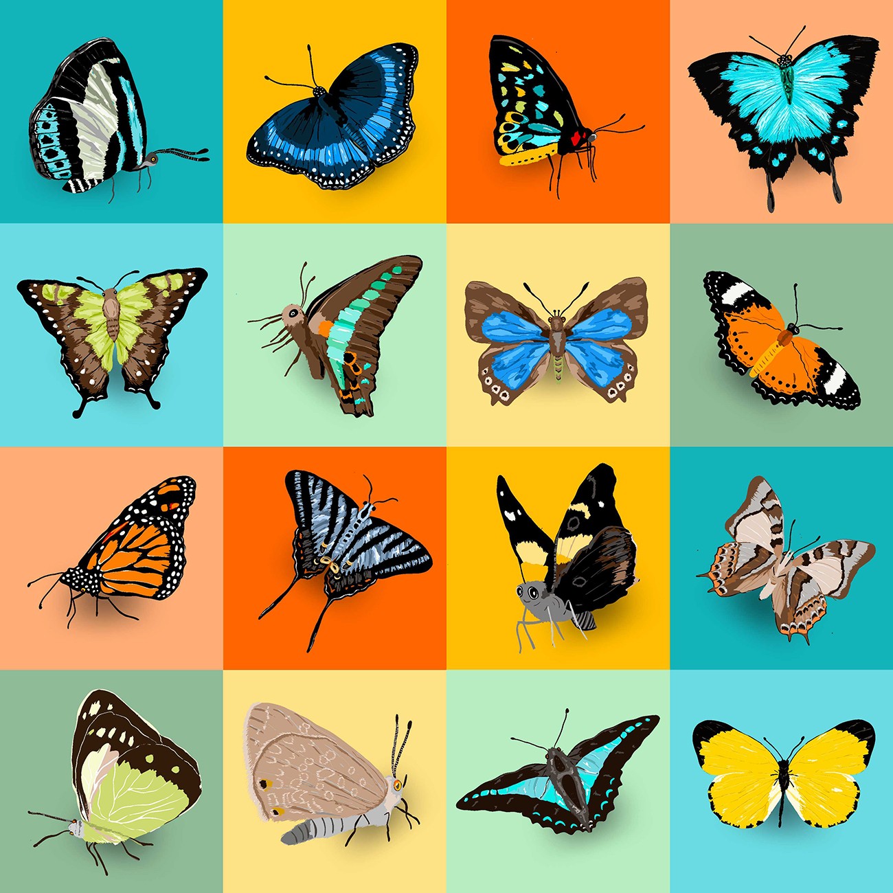 Product Image For 6016-08.