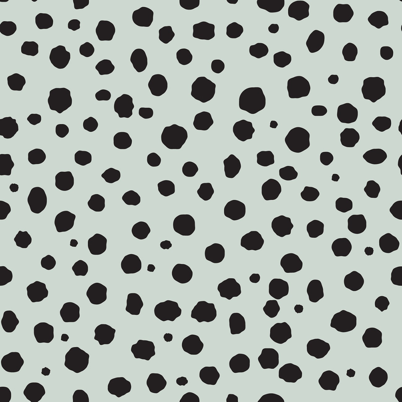 Product Image For 6020-21.