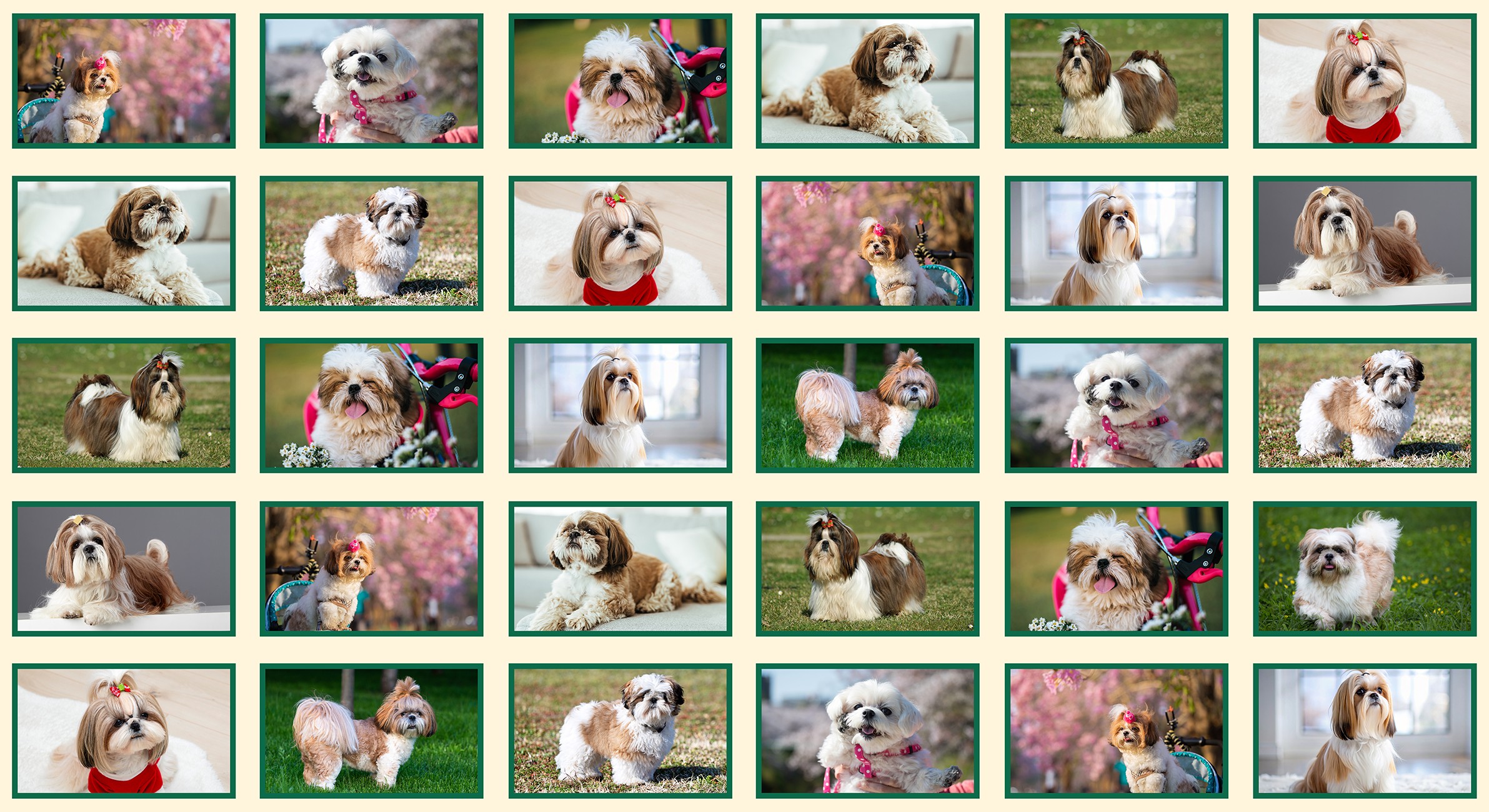 Product Image For 6069-05.