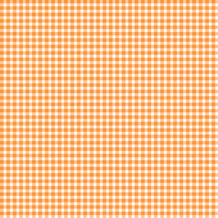 Parsimmon Orange Classic Check