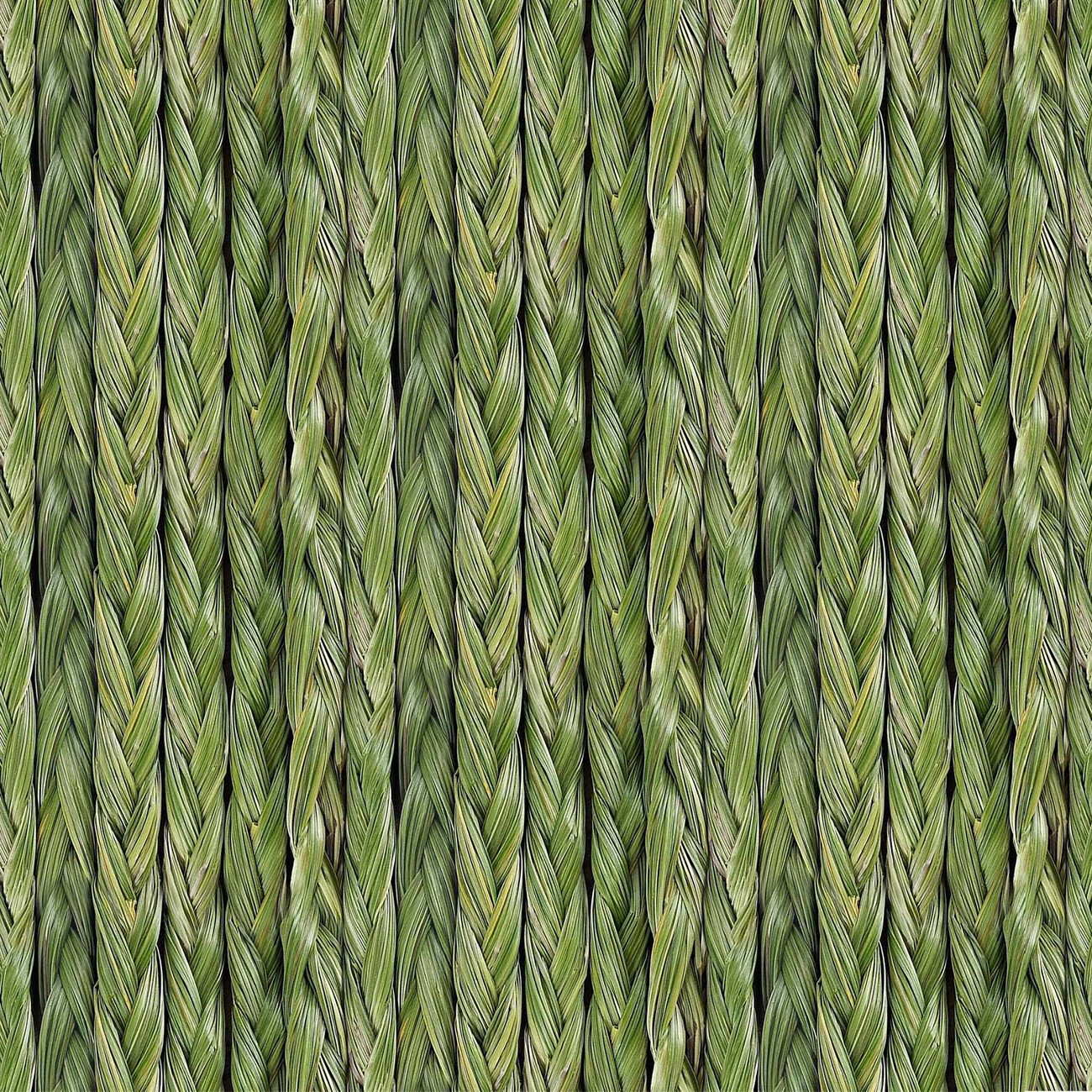 Landscape Medley Sweetgrass Braids Green