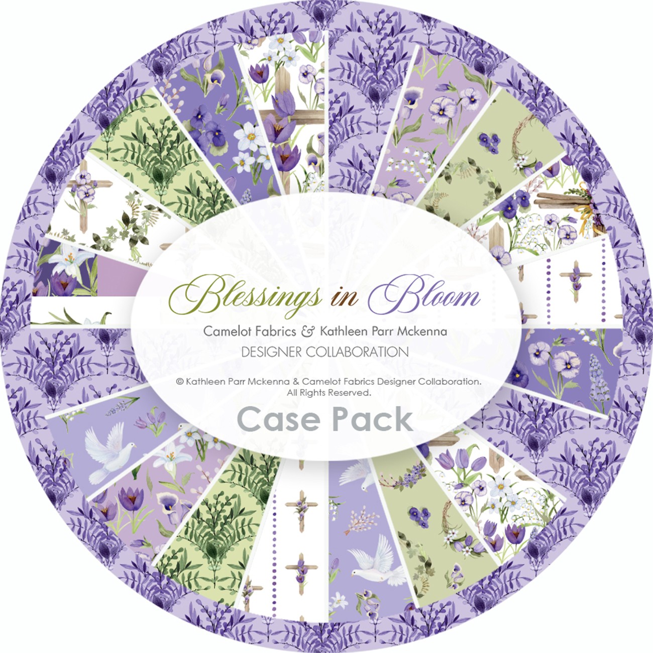 Product Image For 66250608SSCASE.