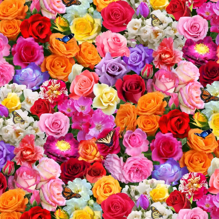 Multi Roses