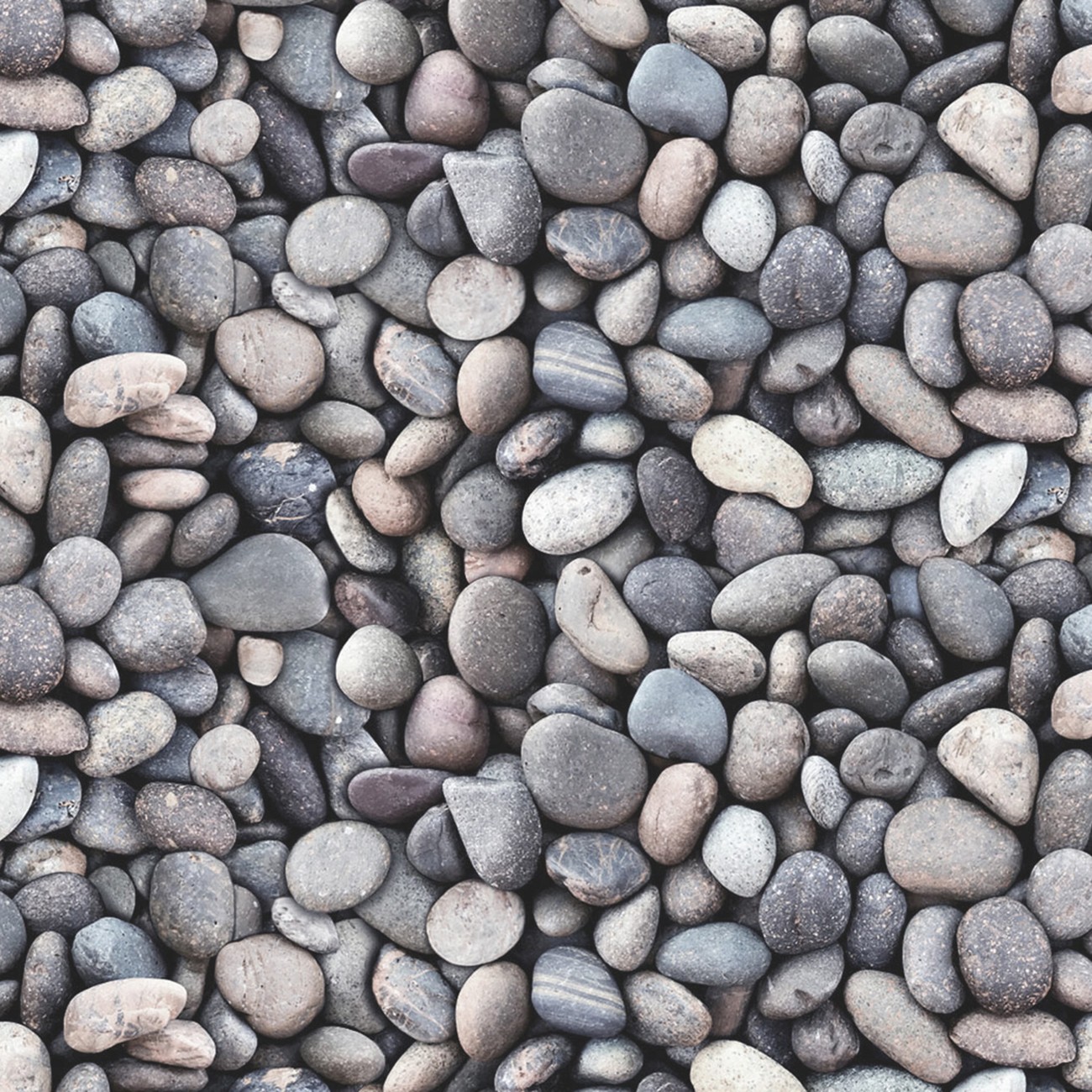 Product Image For 684E-SILVER.