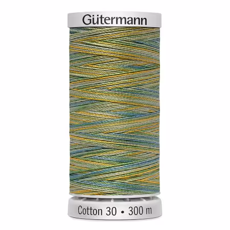 Cotton 30 Variegated Horizon