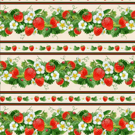 Strawberry Border Stripe Cream