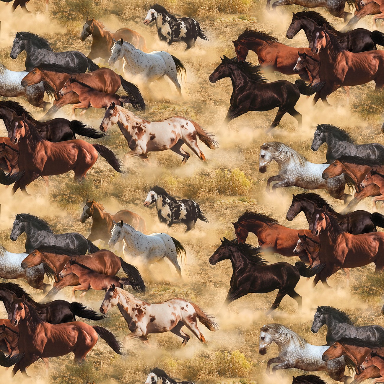 Product Image For 741E-MULTI.