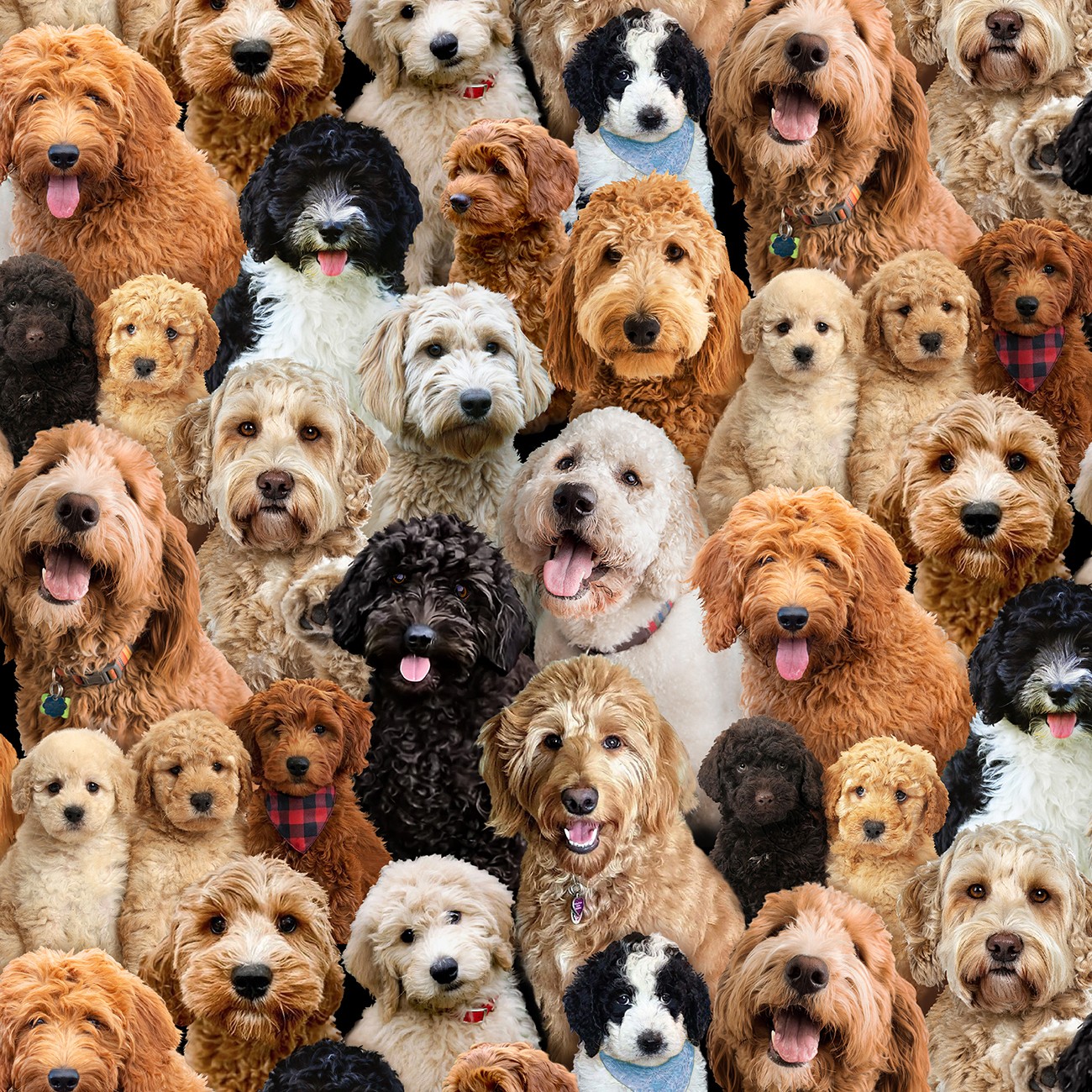 Product Image For 742E-MULTI.