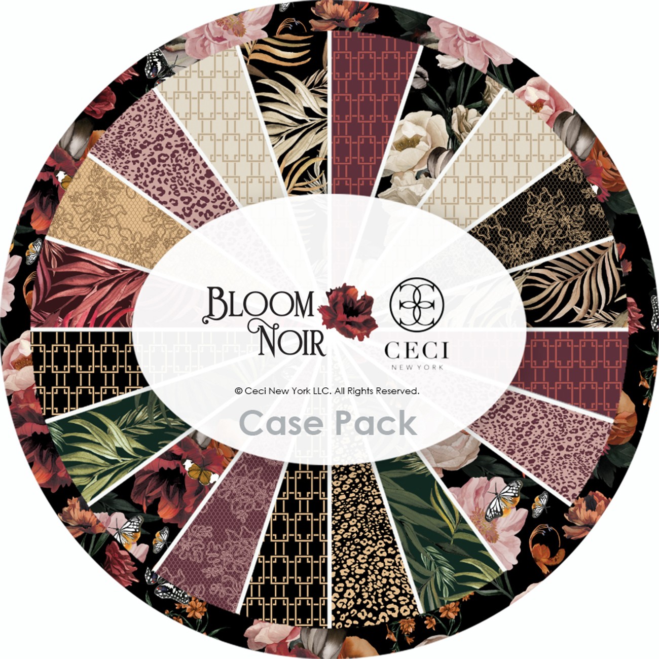 Product Image For 76250205SSCASE.