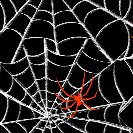 Web To Weave