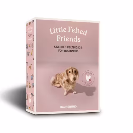 Needle Felting Kit Dachshund