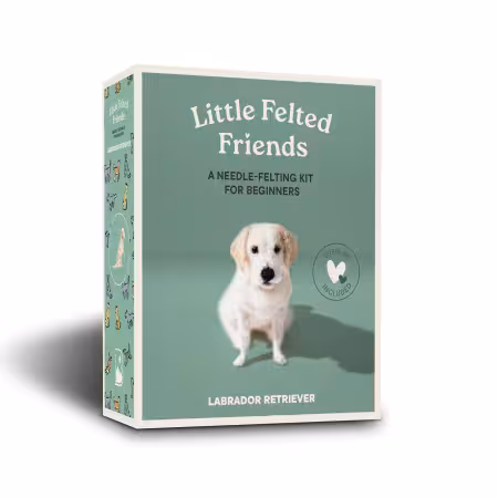 Needle Felting Kit Labrador