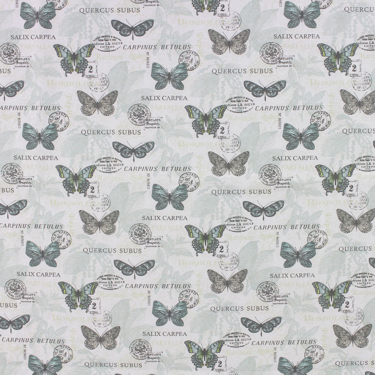 Product Image For 84955207.