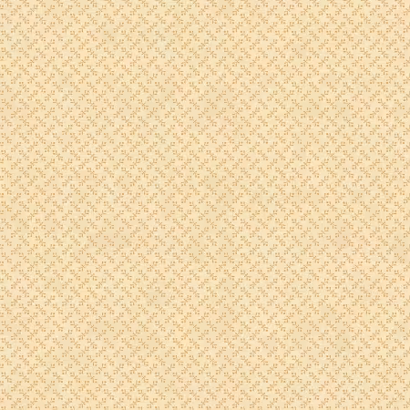 Cream Bow Tie Foulard