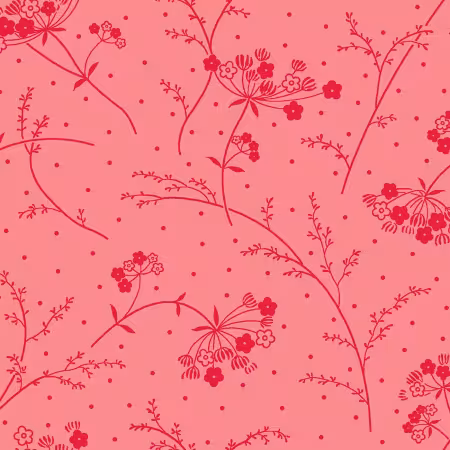 Pink Queen Annes Lace