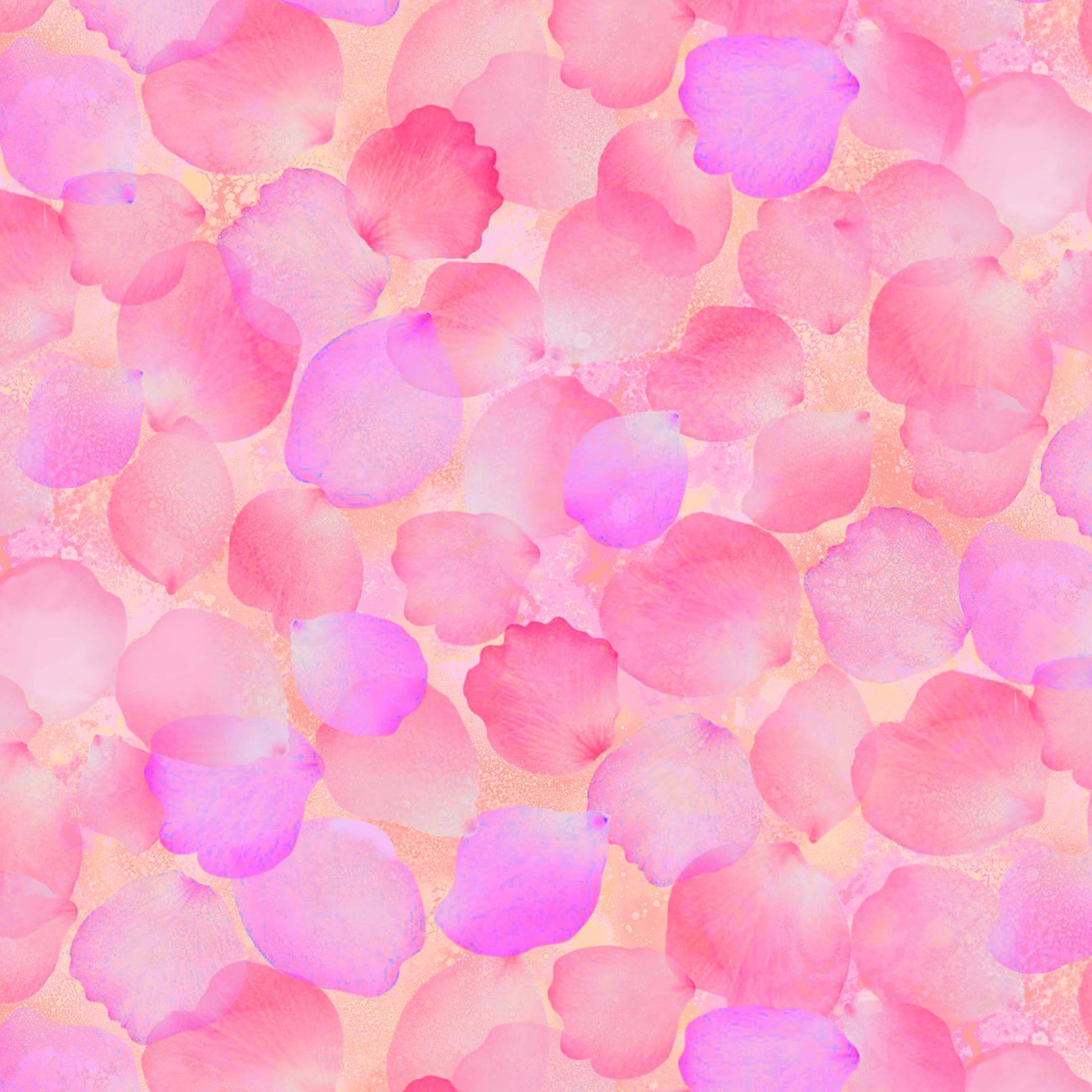 Product Image For 9579S-22.