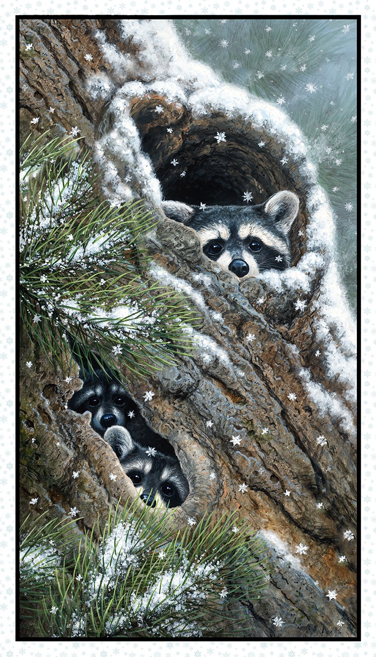 Product Image For 9619E-SNOW.