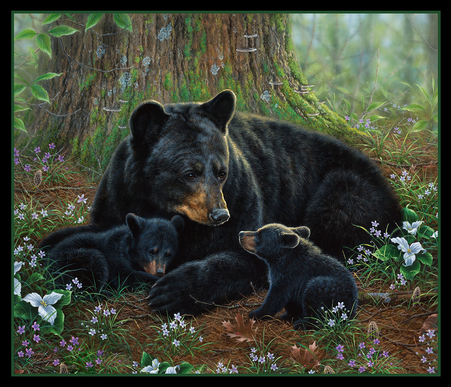 Product Image For 9620E-BLACK.