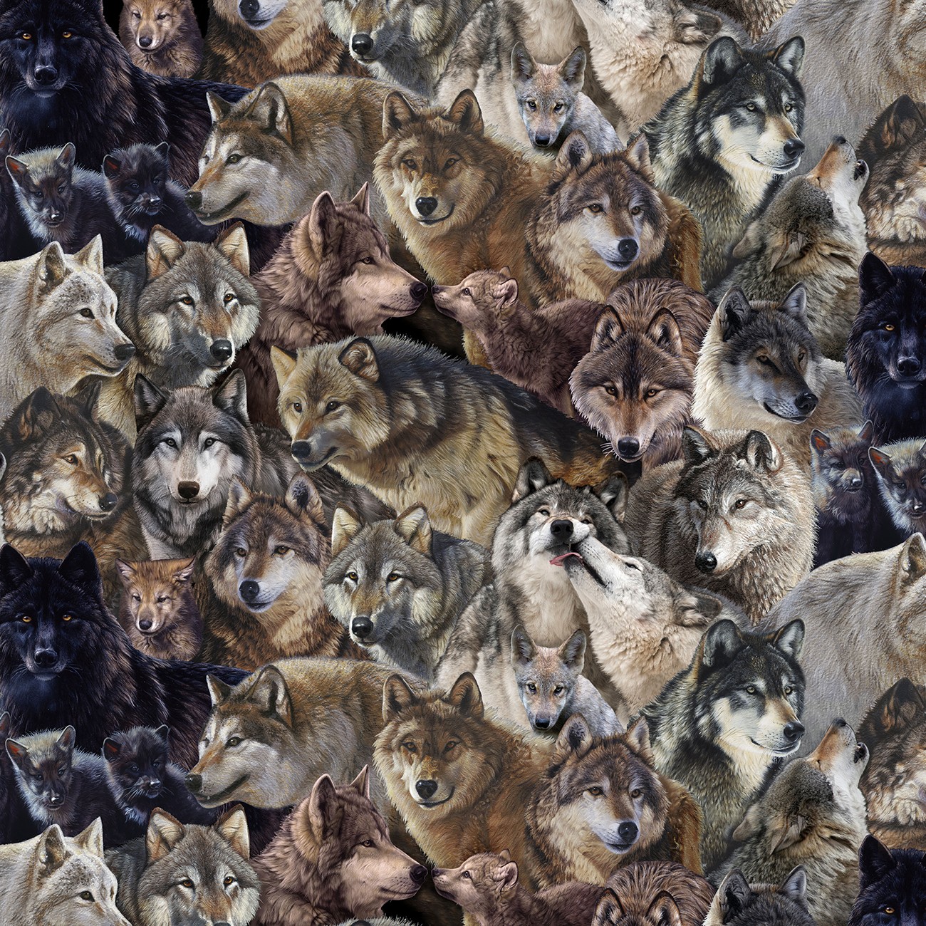 Multi Wolves Multi Packed Wolves