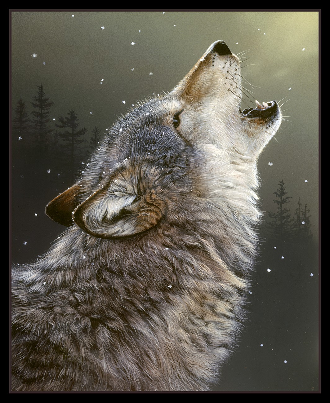 Product Image For 9709E-BLACK.