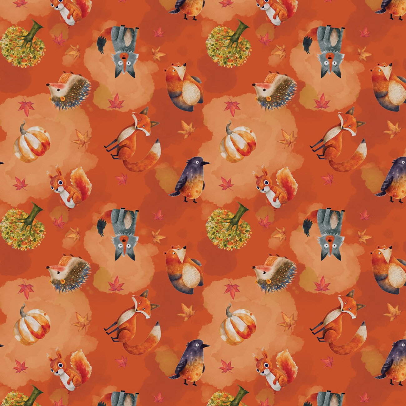 Product Image For 97260205-02.