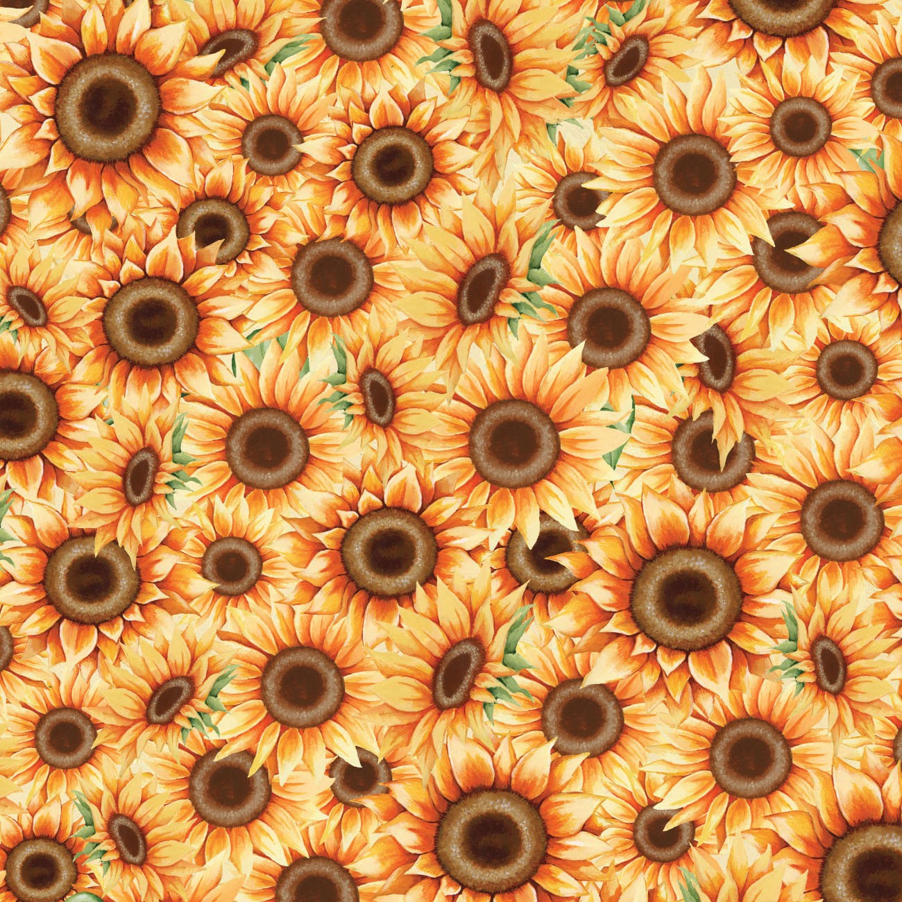 Product Image For 98260105-01.