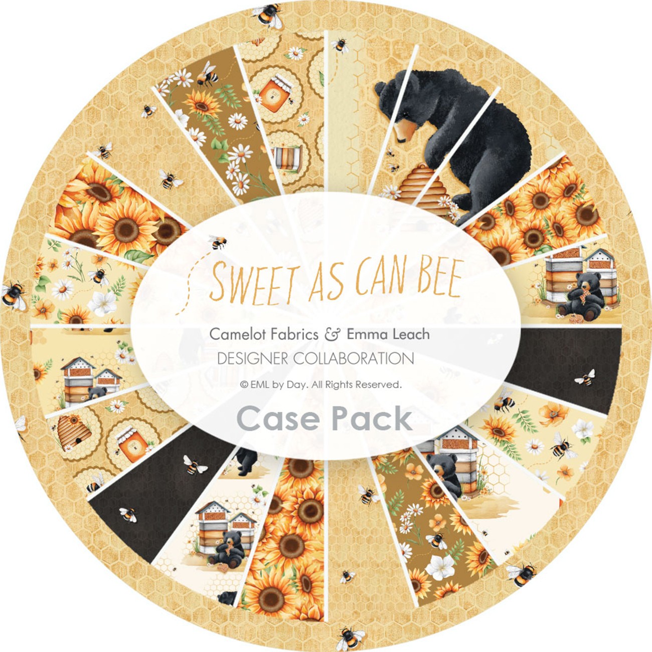 Product Image For 98260105SSCASE.