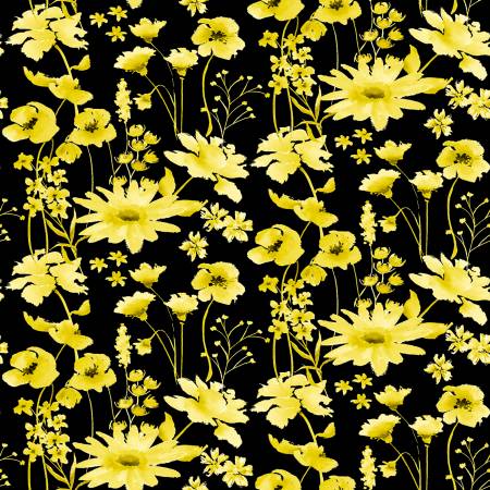 Black/Yellow Daisy
