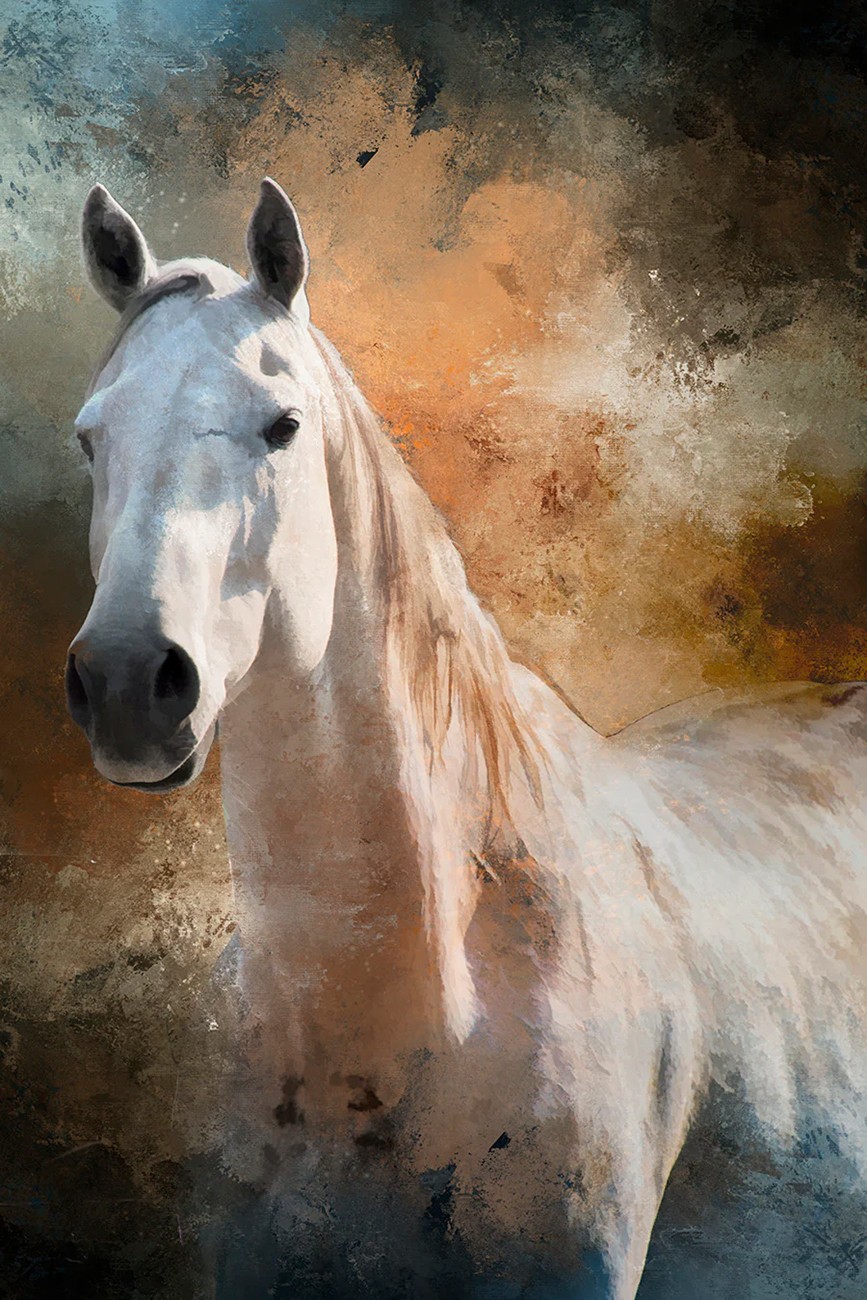 Ghostly White Horse Panel 12.5in x 20in