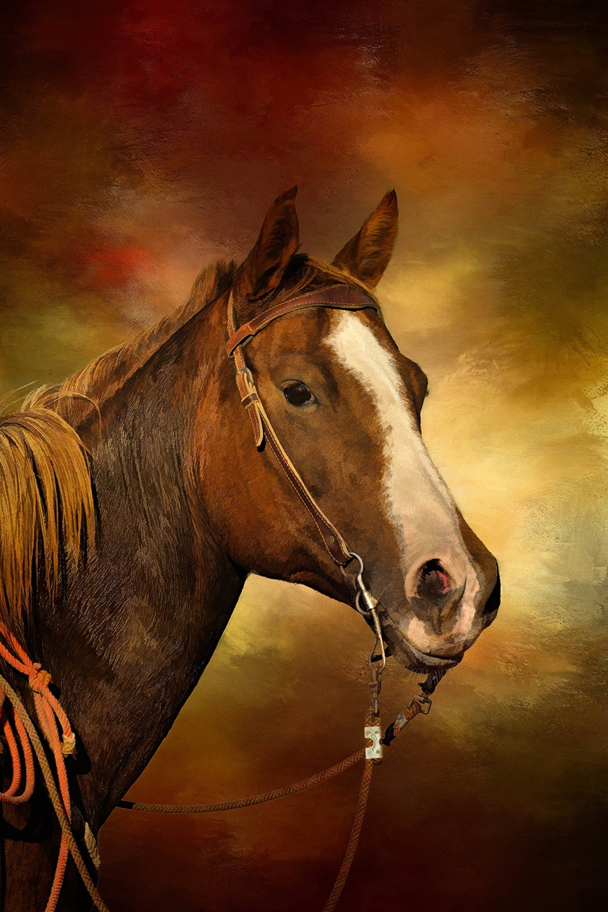 Paint Horse in Bridle Panel 14.5in x 22.75in