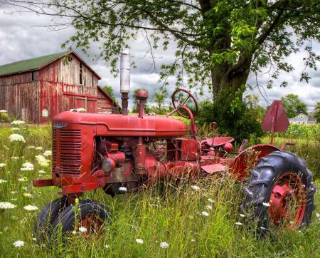 Tractor & The Barn Digital Panel 36in