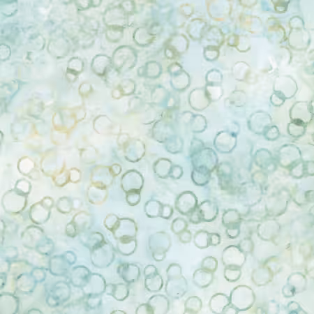 Bubbles Cloud