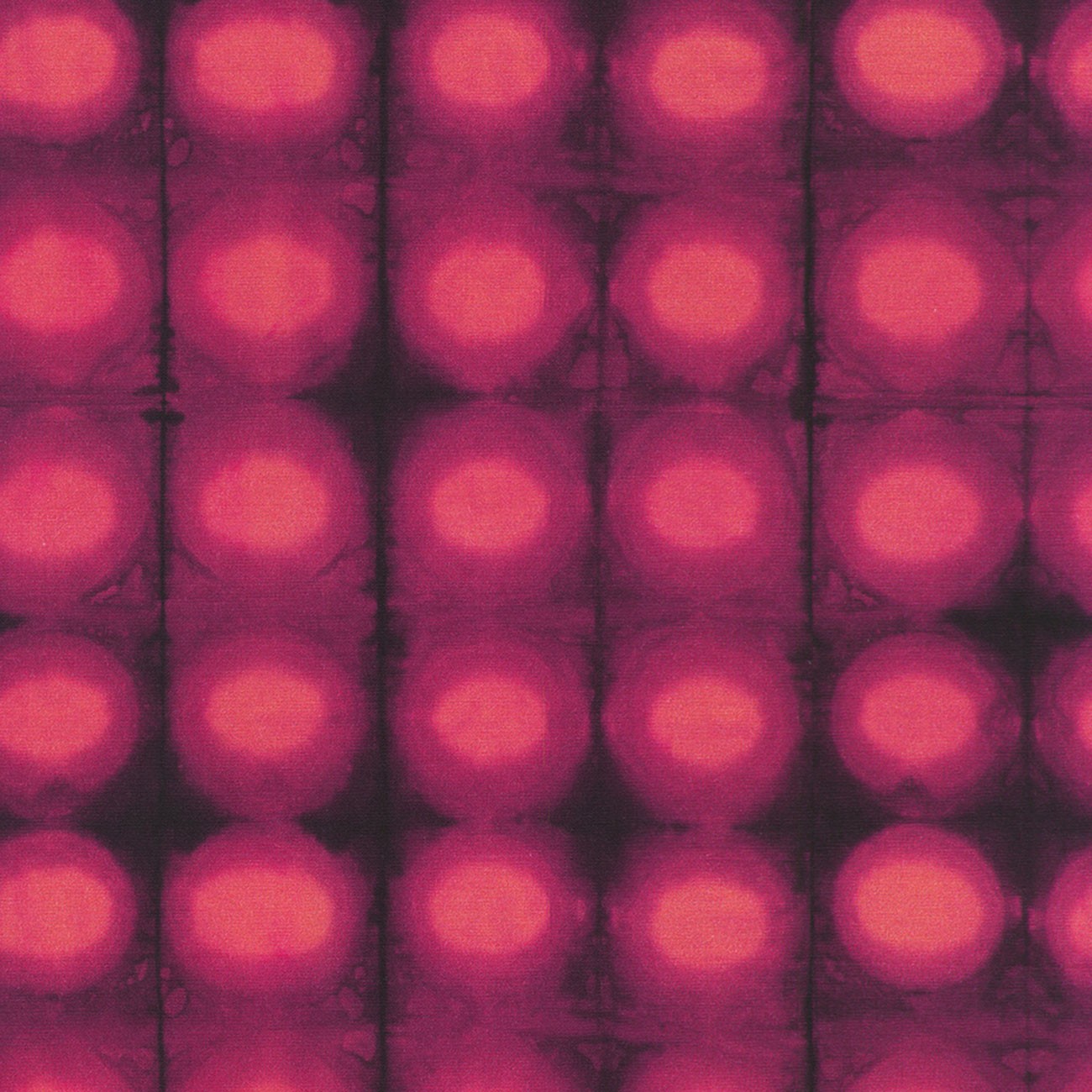 Product Image For ANJD-24386-221.
