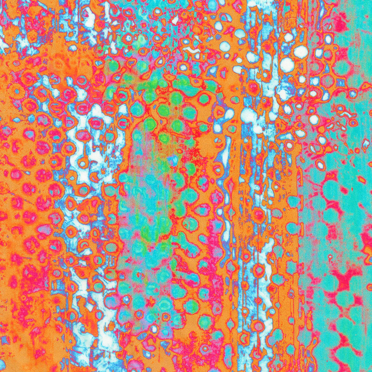 Product Image For ANJDSX-24393-207.