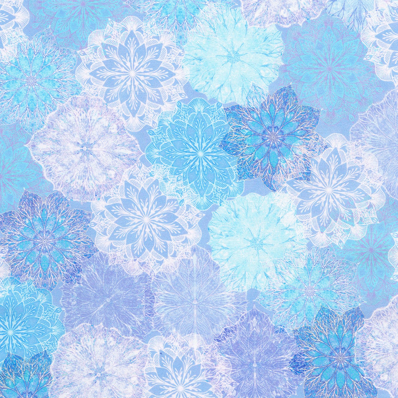 Product Image For AQSD-24413-245.