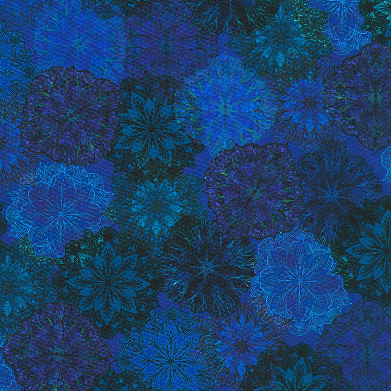 Product Image For AQSD-24413-59.