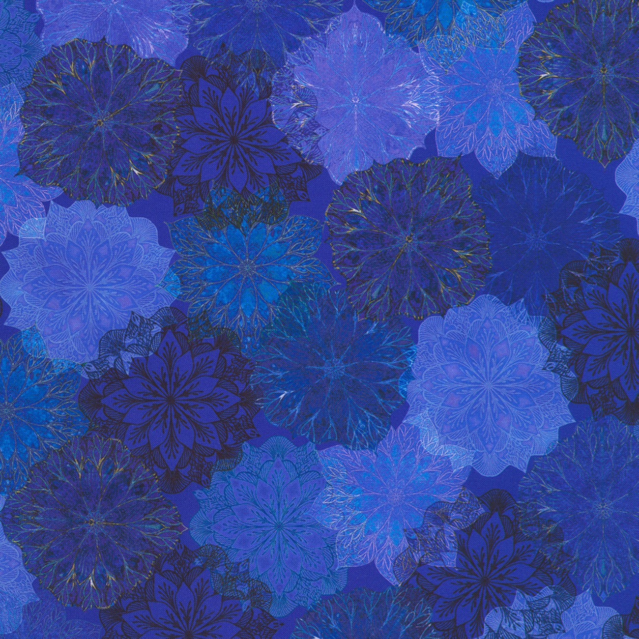 Product Image For AQSD-24413-62.