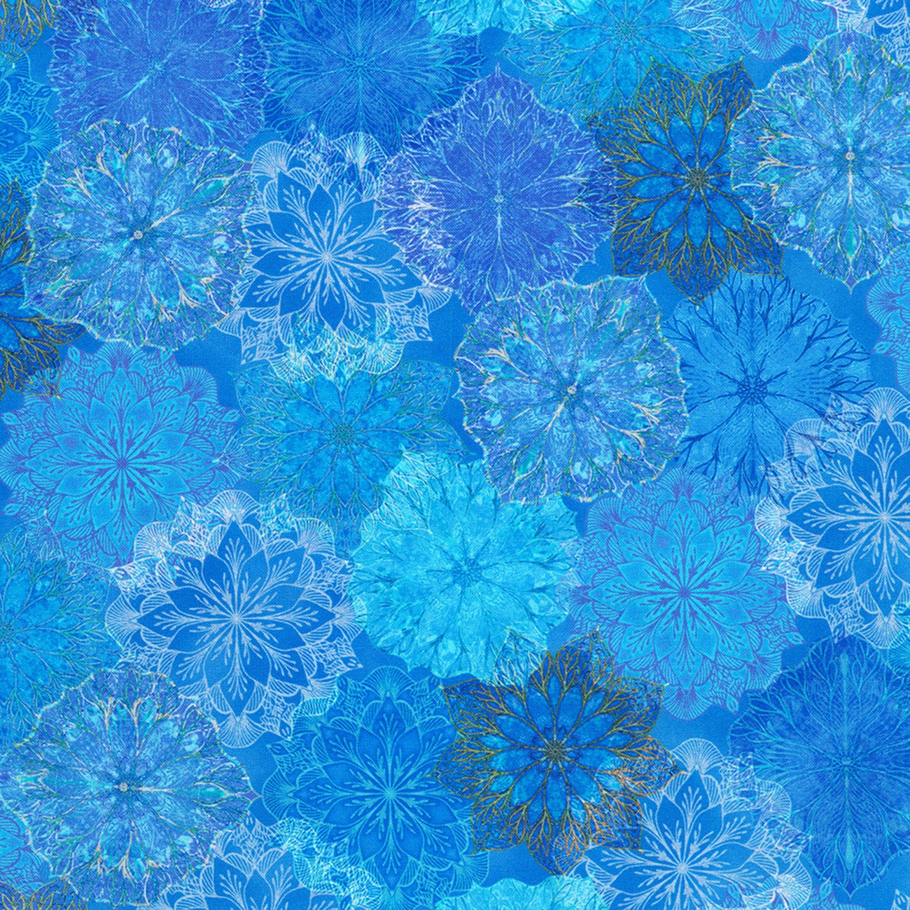 Product Image For AQSD-24413-64.