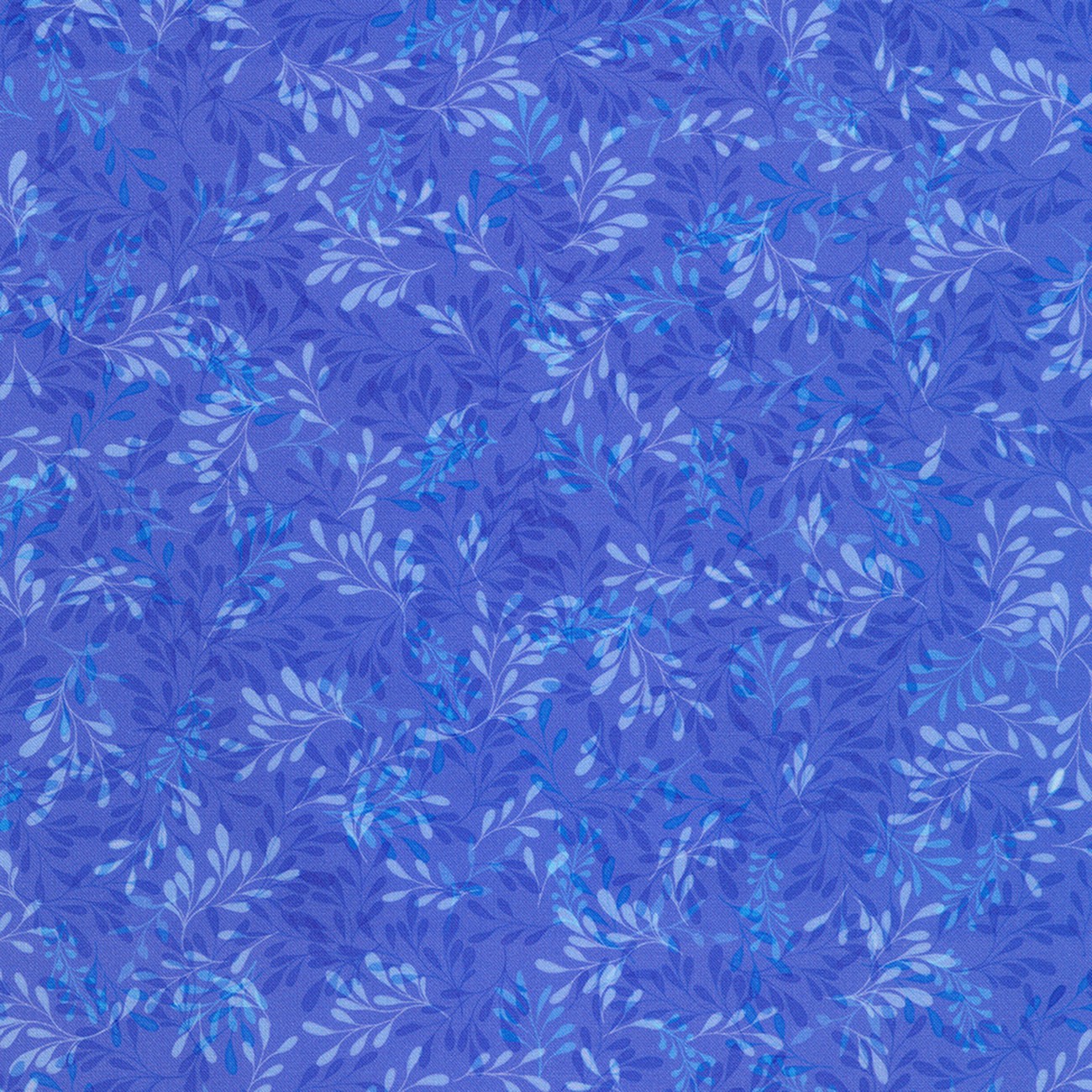 Product Image For AQSD-24414-247.