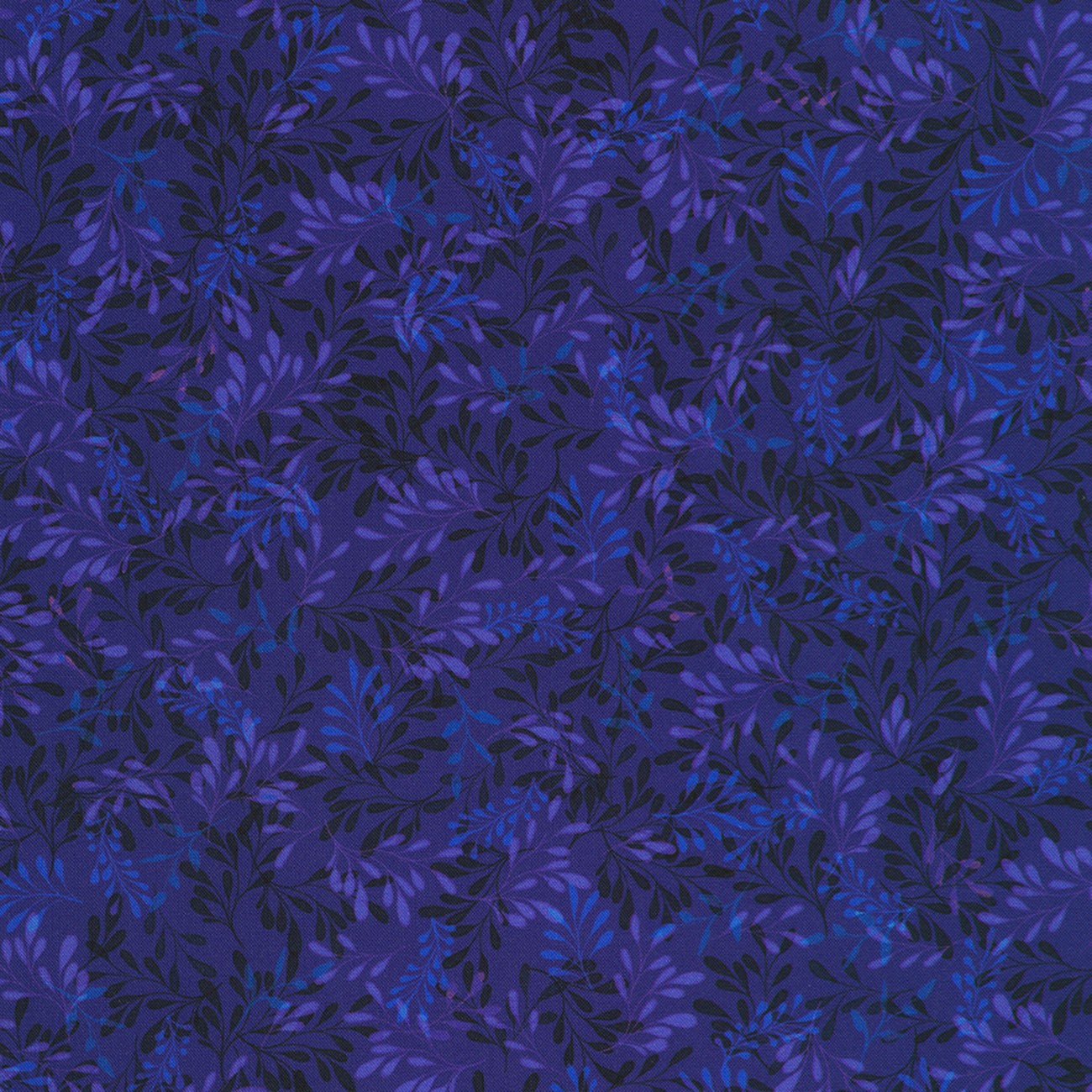 Product Image For AQSD-24414-74.