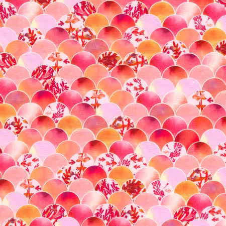 Scallop Coral
