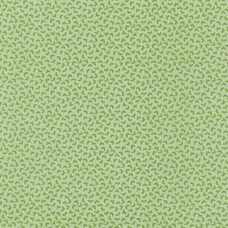 Eucalyptus Sprouts
