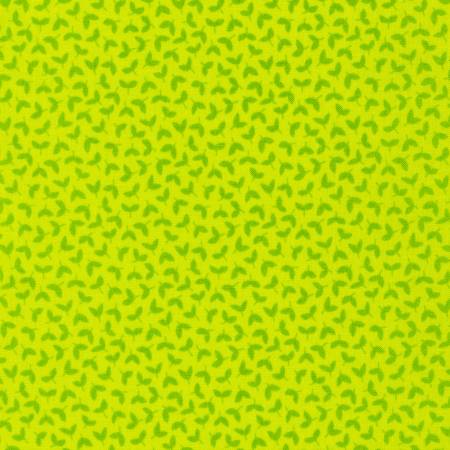 Leaves Cactus