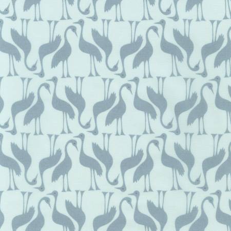 Birds Fog