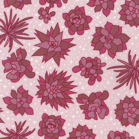 Plants Petal