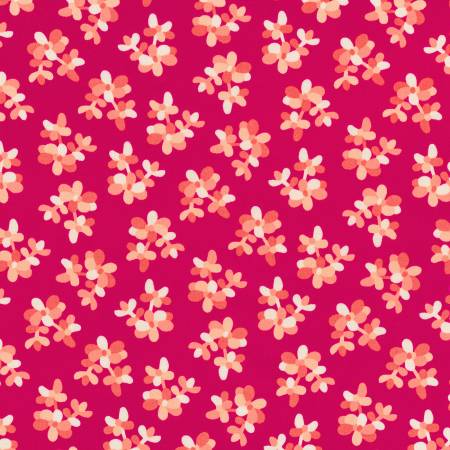Plants Pomegranate