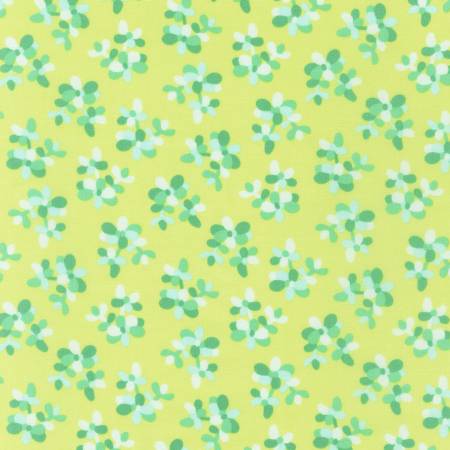 Plants Summer Pear