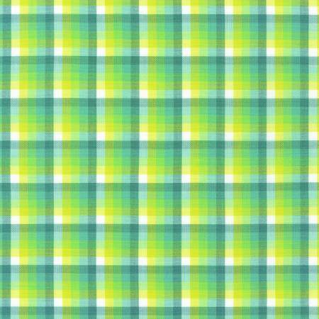 Plaid Sage