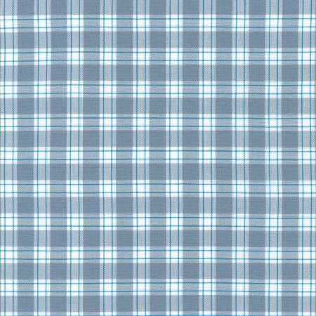 Thin Plaid Shark